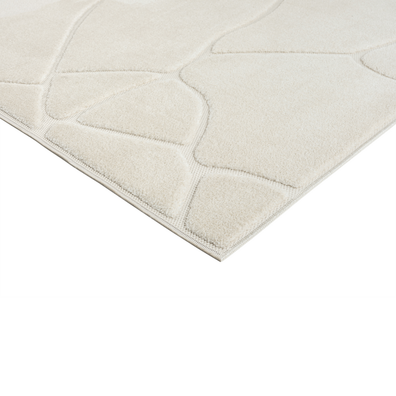 Navajo Area Rug