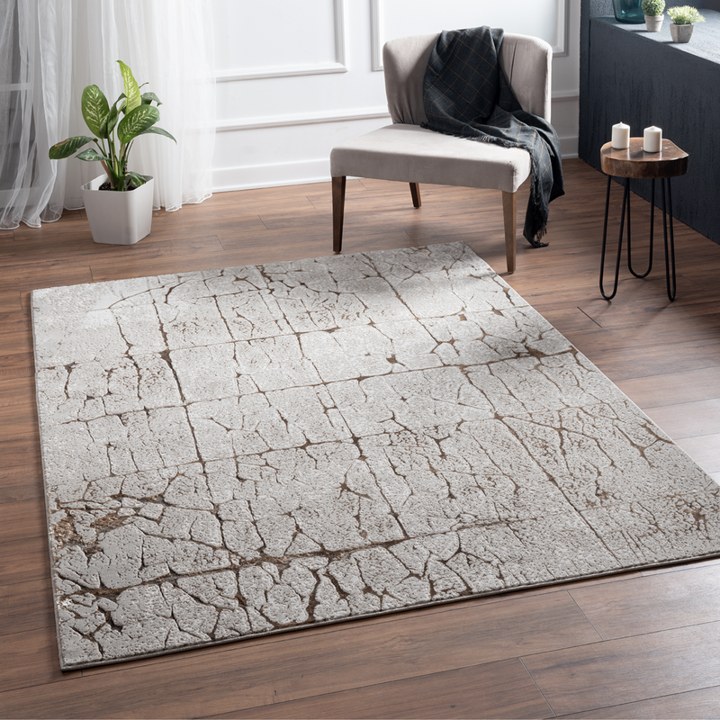 Frenzy Area Rug