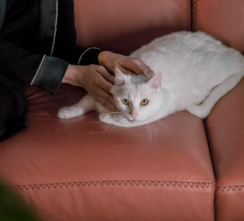 Elisa Italian Sofa